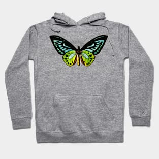 Butterfly Hoodie